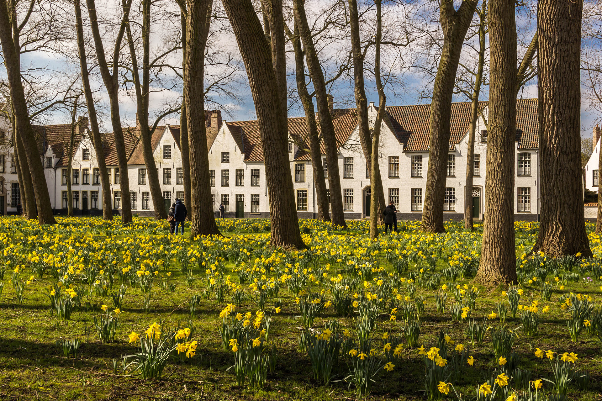 Het Begijnhof in Brugge in de lente