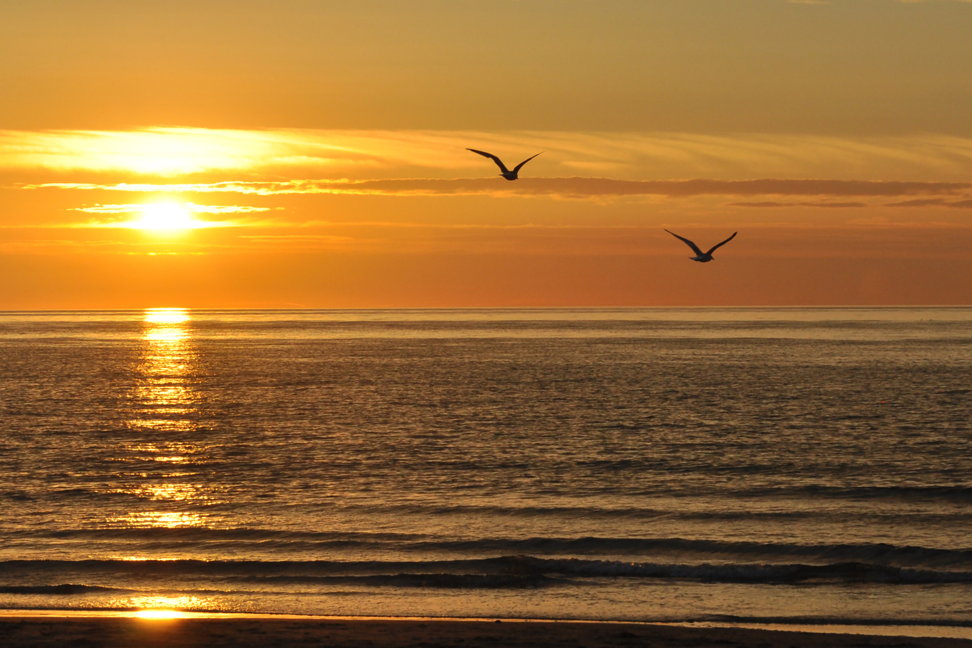 Vakantieland West-Vlaanderen
