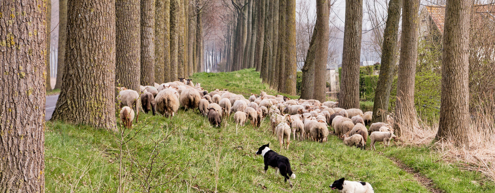 Fotoalbum - Hotel Albert 1