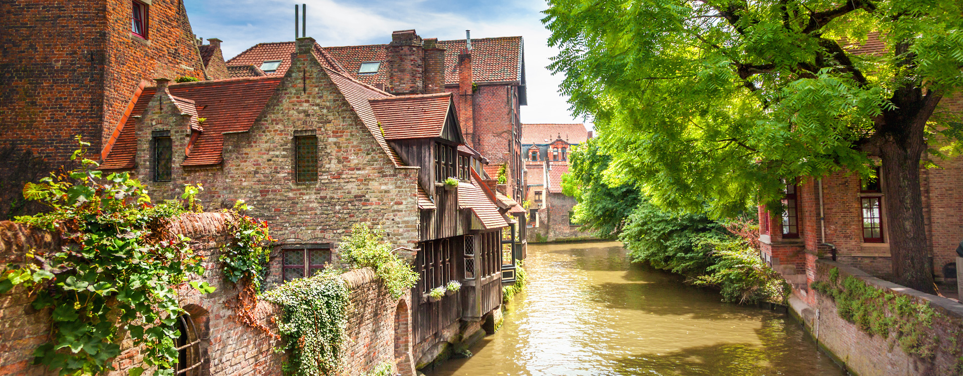 Fotoalbum - Hotel Albert 1